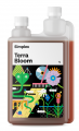 Simplex Terra Bloom купить